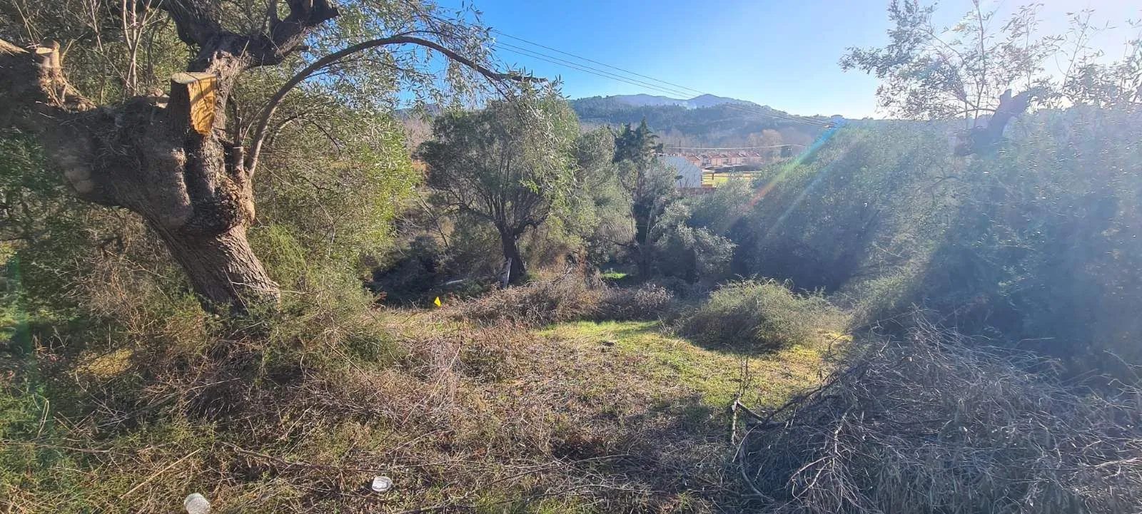 PLAC – TRIPOTAMOS · fotografija 14