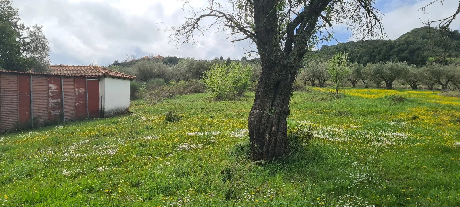 PLAC – AGIOS NIKOLAOS · fotografija 4