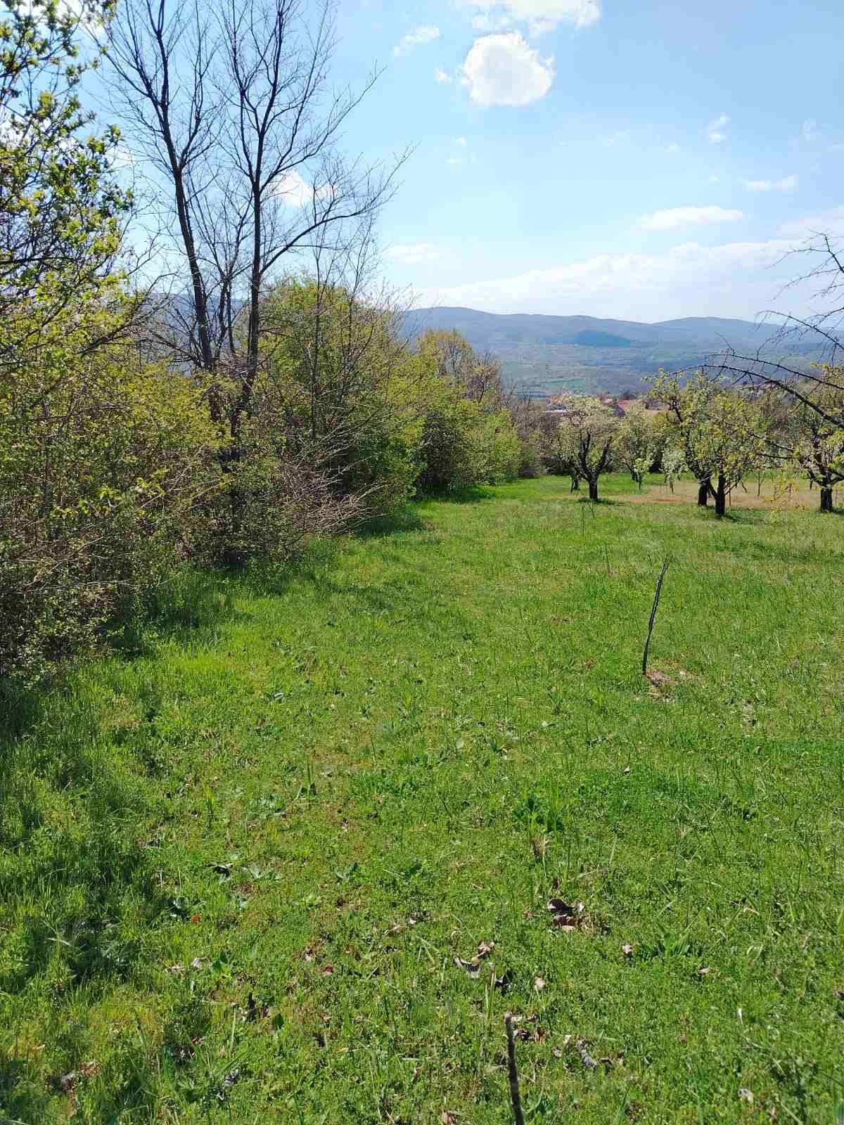 PLAC – DONJE VLASE · fotografija 4