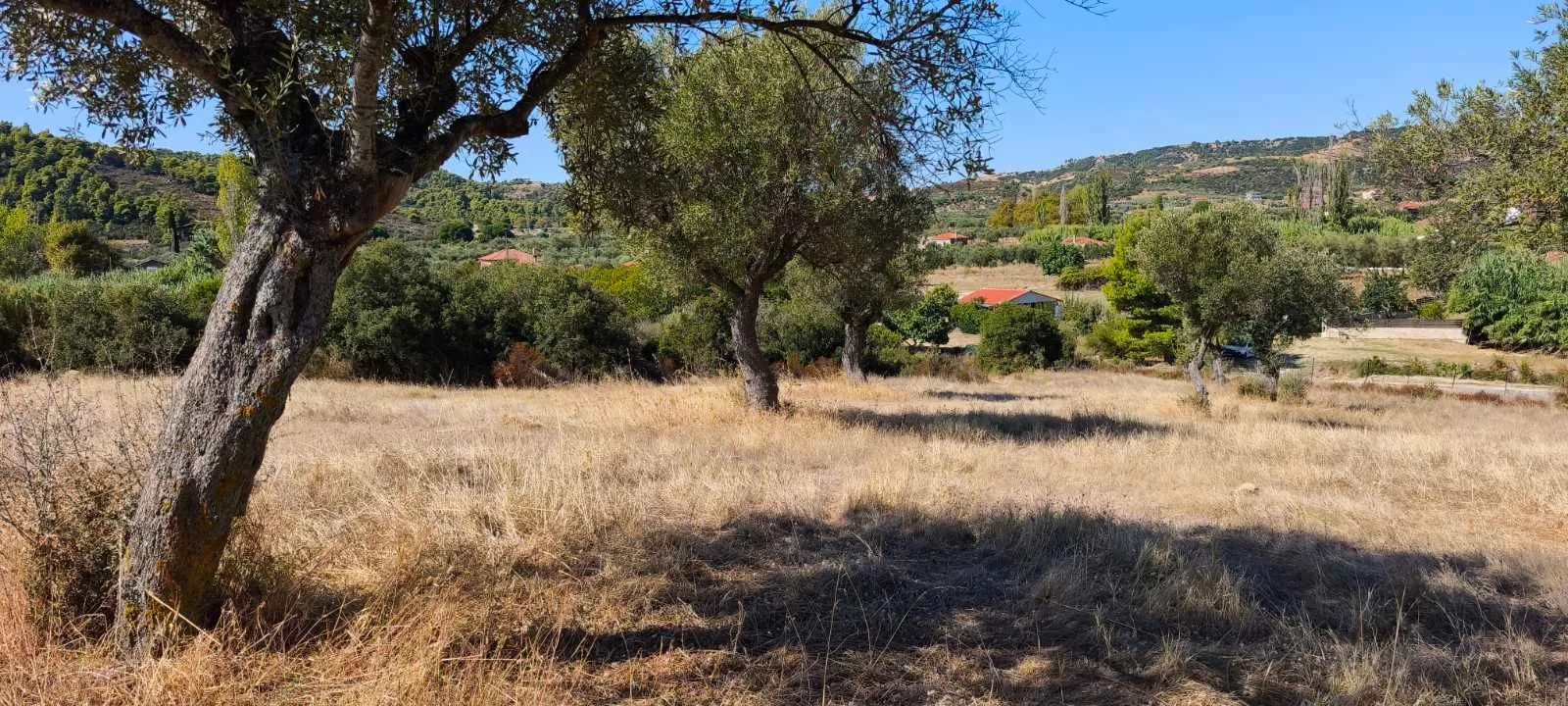 PLAC – ORMOS PANAGIAS · fotografija 7