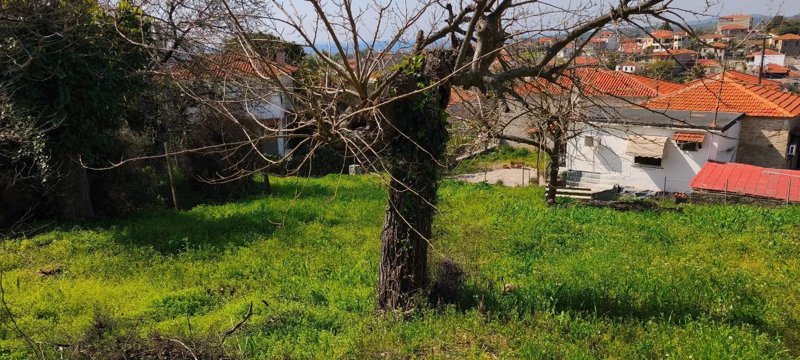 Plac – Nikiti · fotografija 10