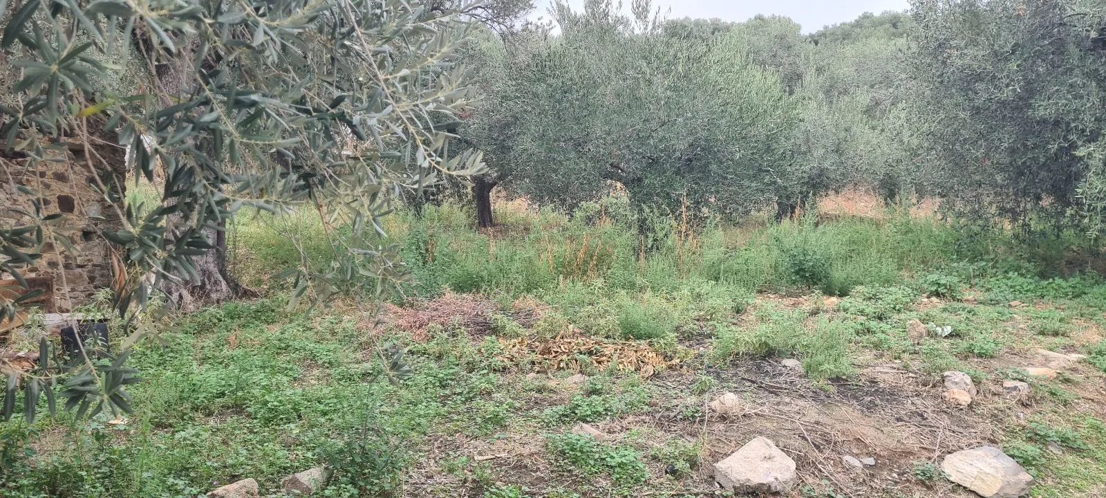 Grundstück – Pyrgadikia · Foto 10