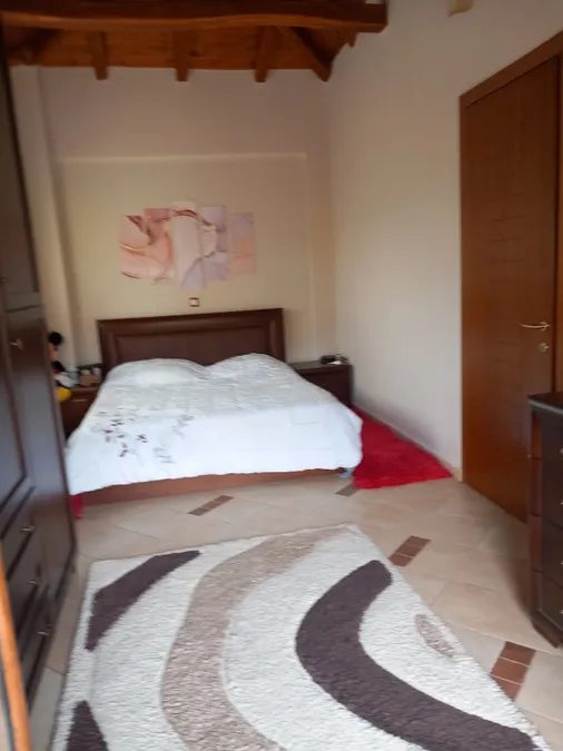 Agia Paraskevi (Vasilika) Haus · Foto 13