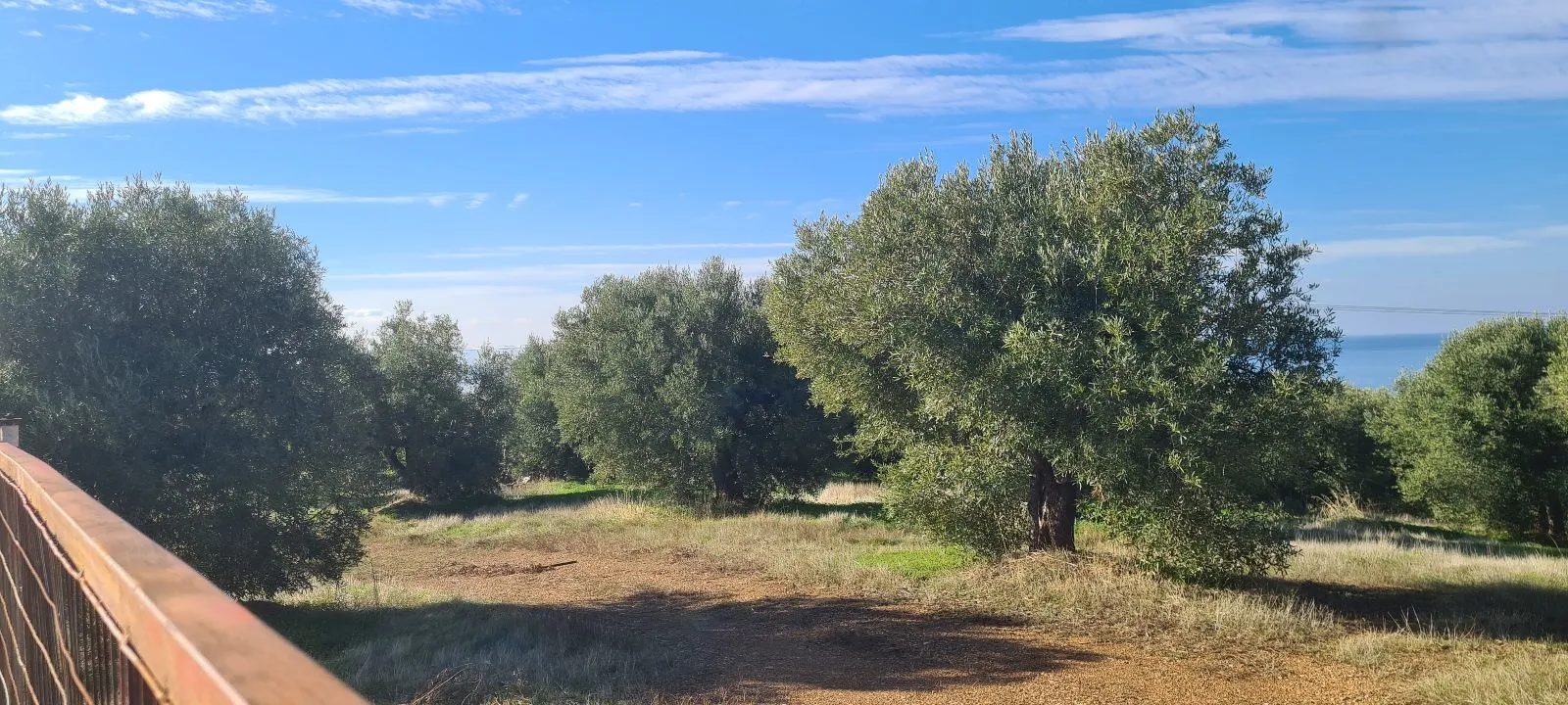 Grundstück – Paradeisos · Foto 12