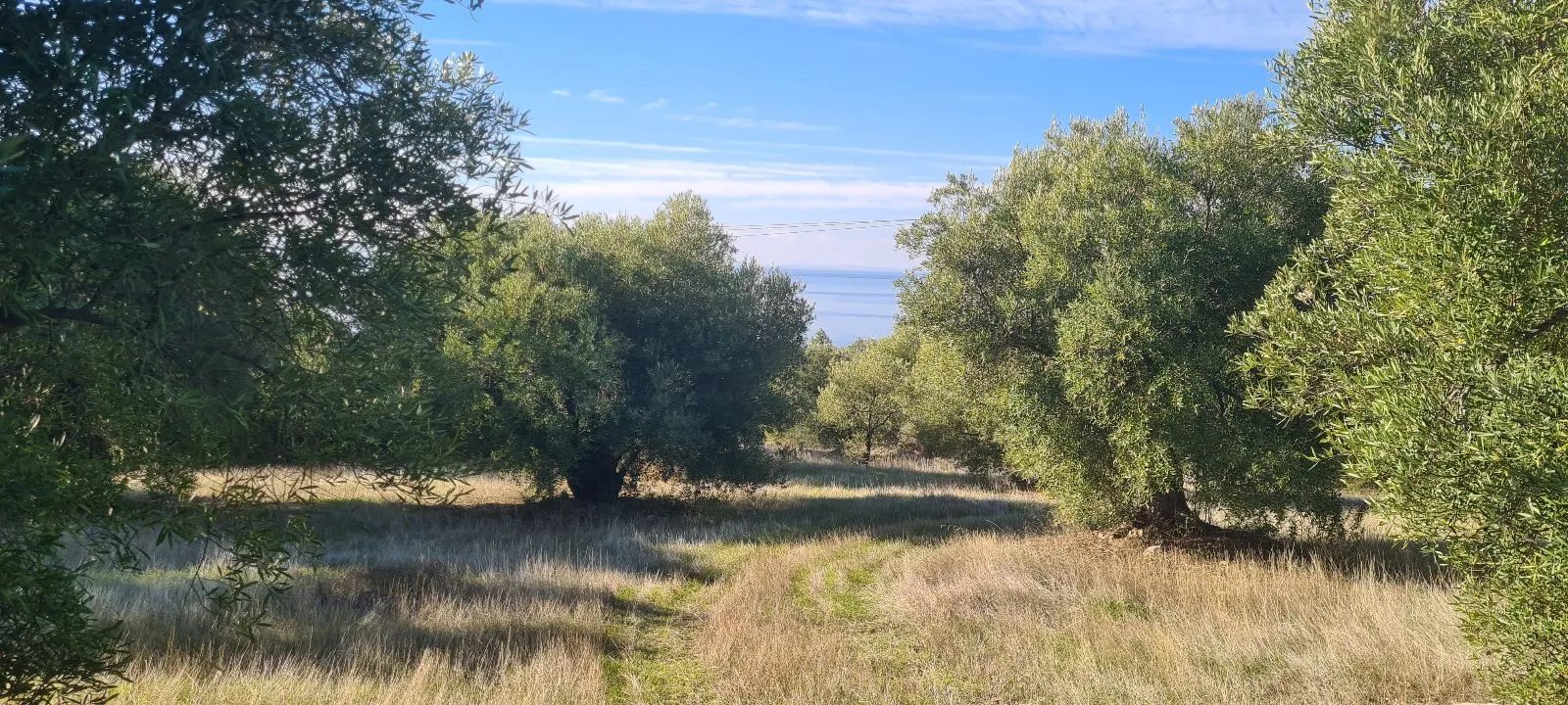 Grundstück – Paradeisos · Foto 10