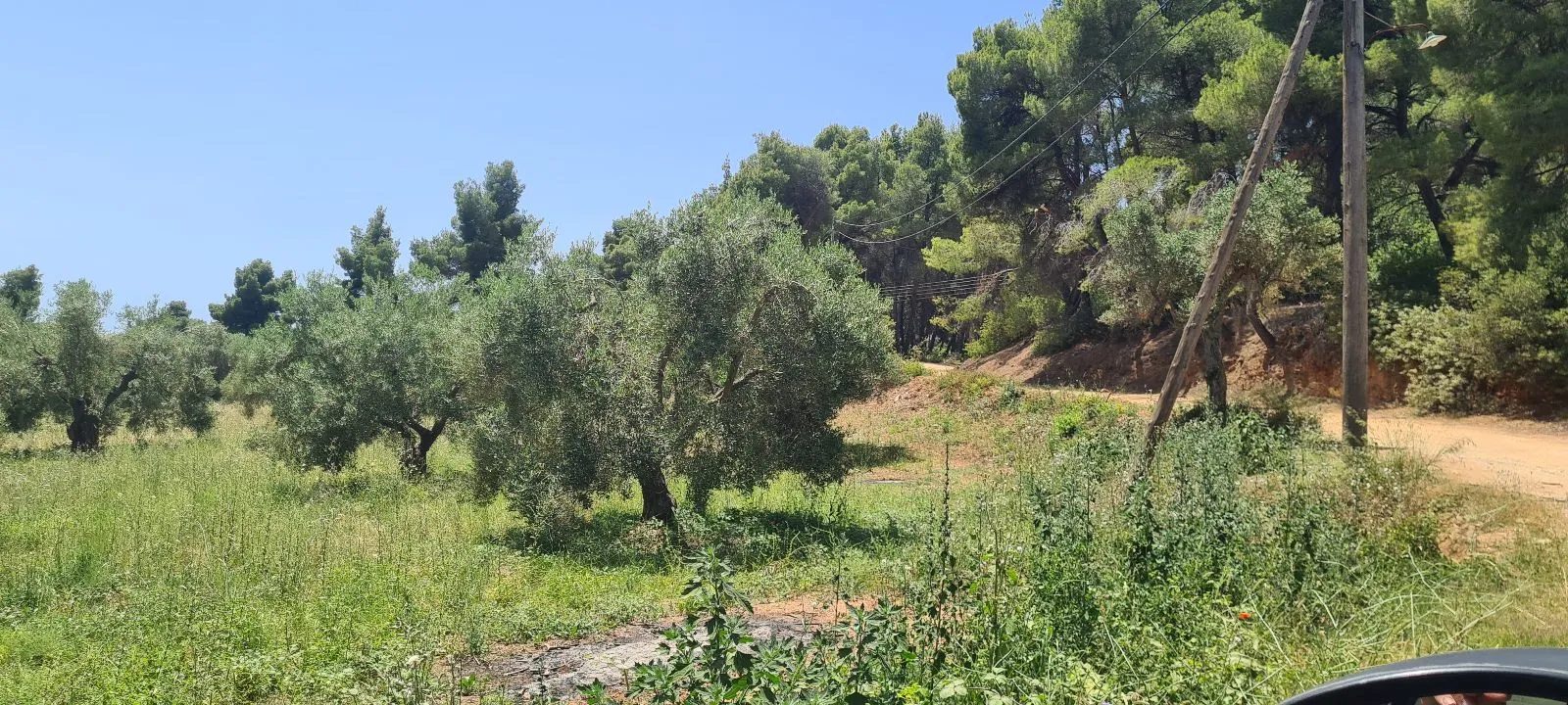 PLAC – PARALIA NIKITI · fotografija 5