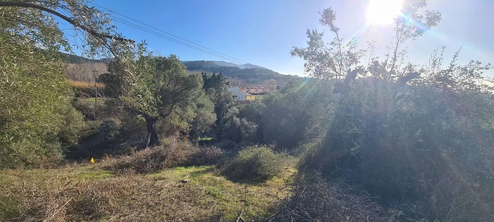 PLAC – TRIPOTAMOS · fotografija 12