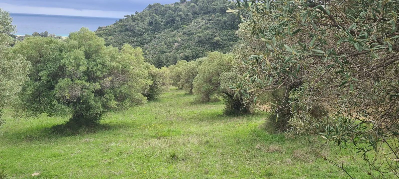 PLAC – AGIOS NIKOLAOS · fotografija 10