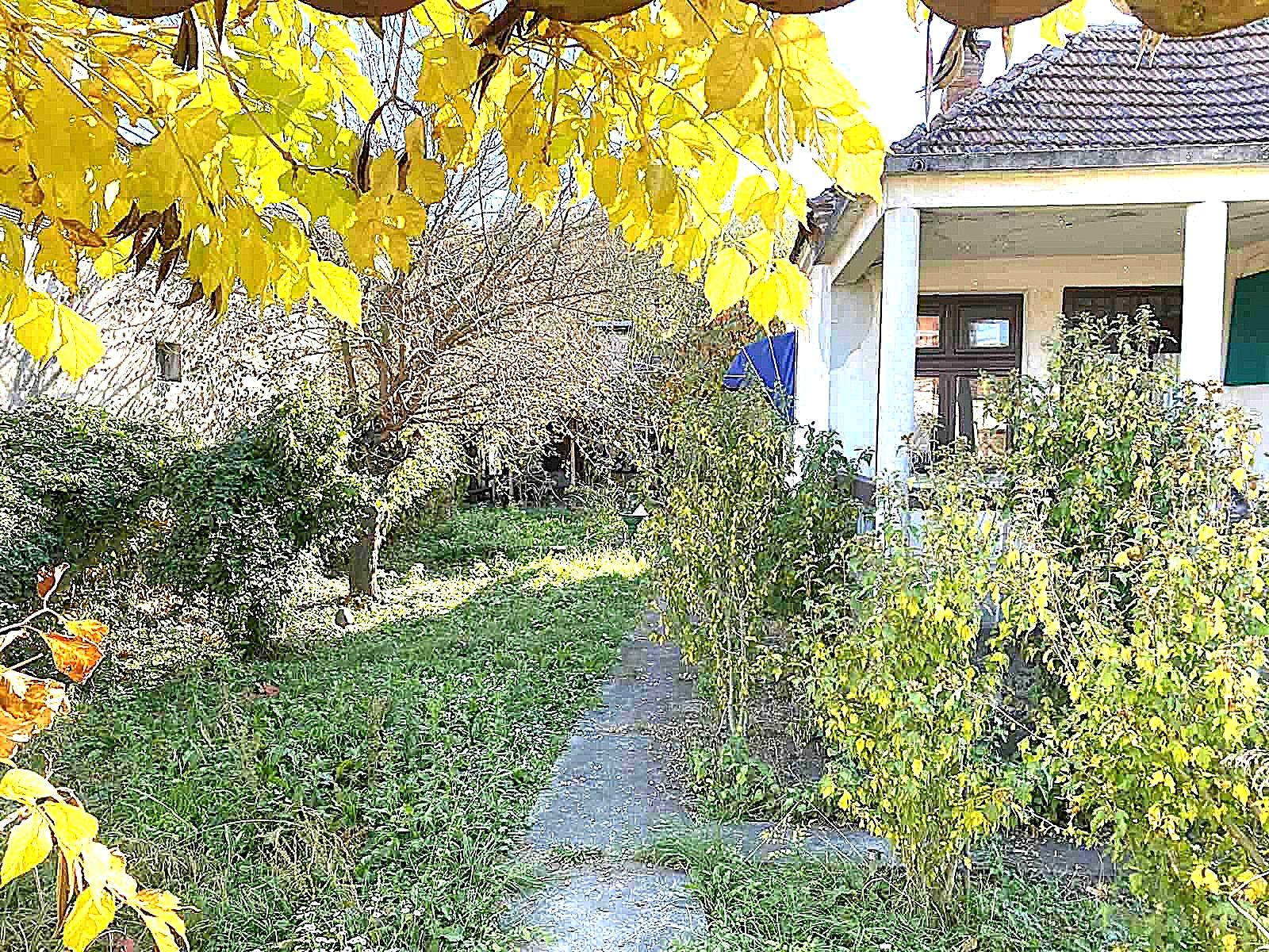 Tradicionalna kukja vo Vrkjenovica – Aleksinac · fotografija 5