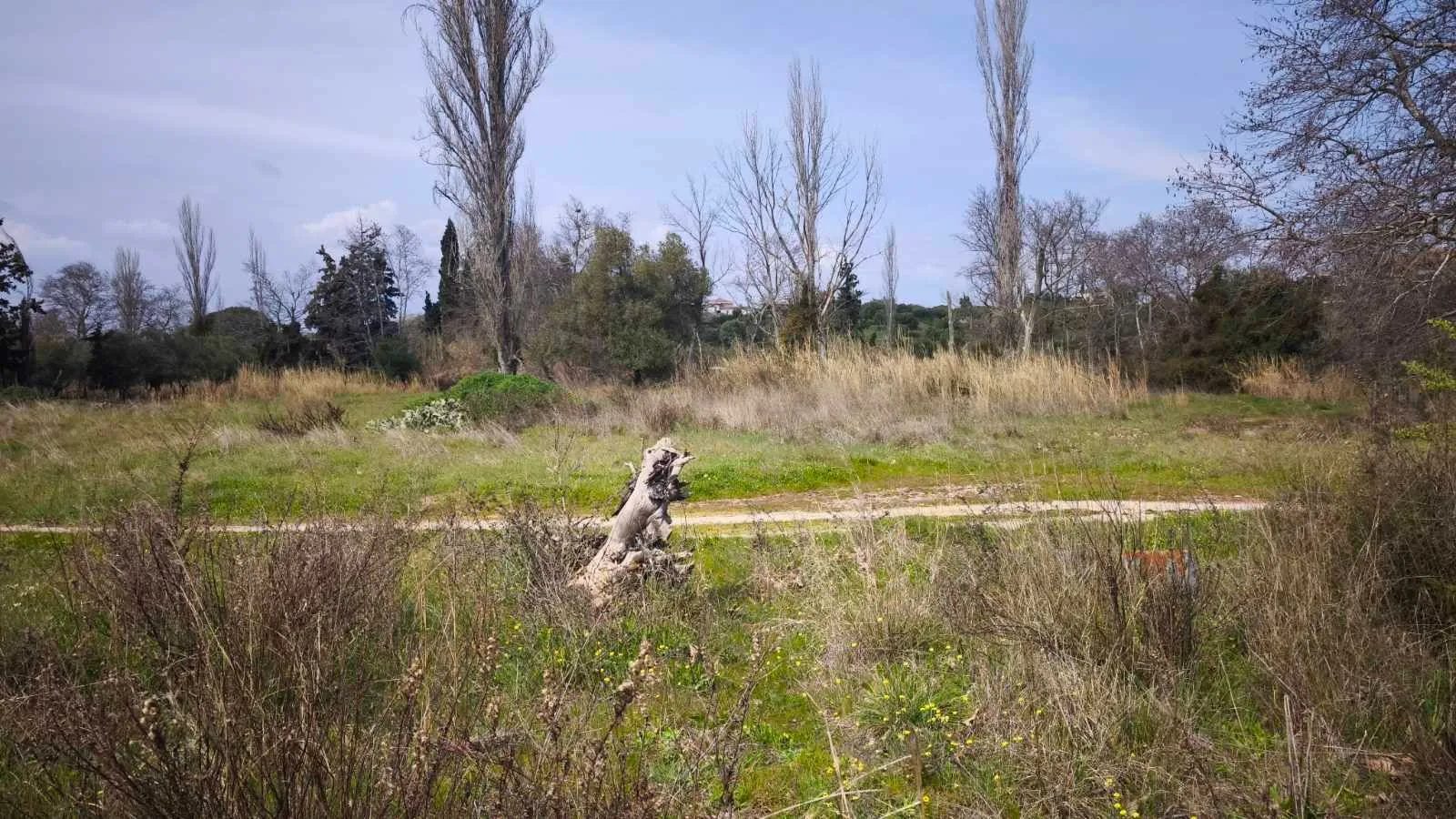 Grundstück – Paralia Nikiti · Foto 14