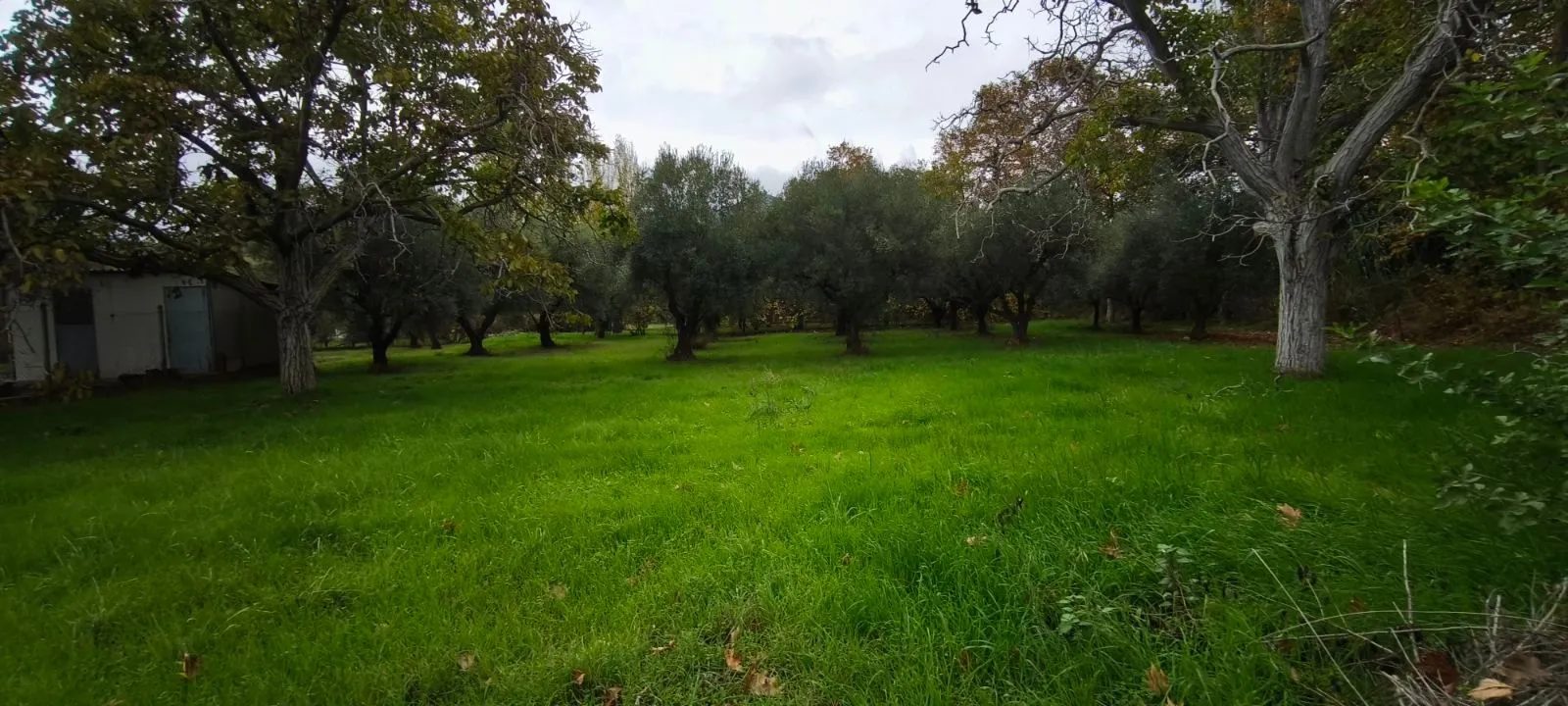 Plac – Neos Marmaras · fotografija 5