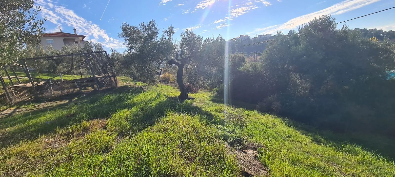 PLAC – PARADEISOS · fotografija 6