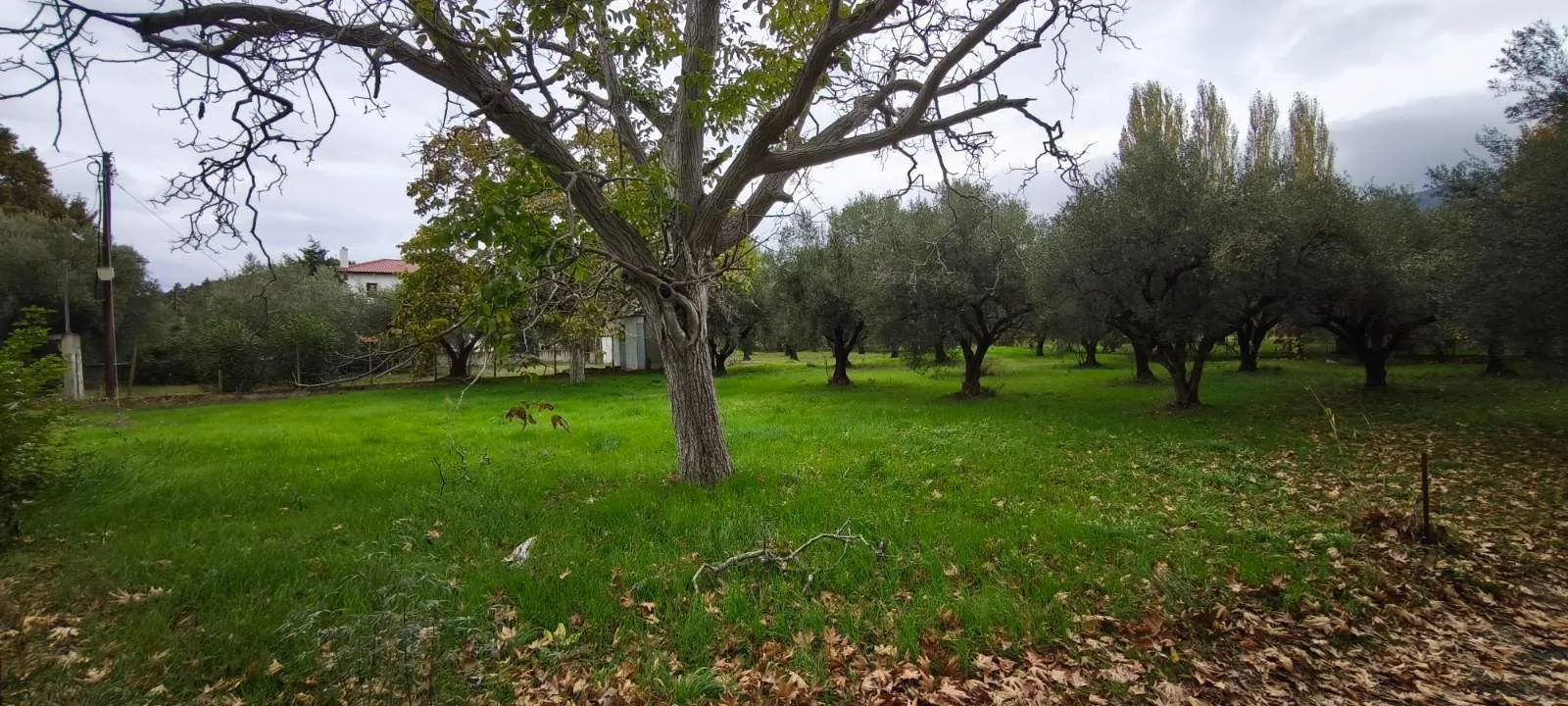 Plac – Neos Marmaras · fotografija 11
