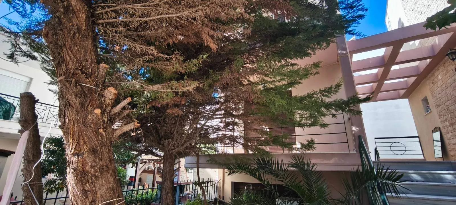 MEZONETA – PARALIA NIKITI