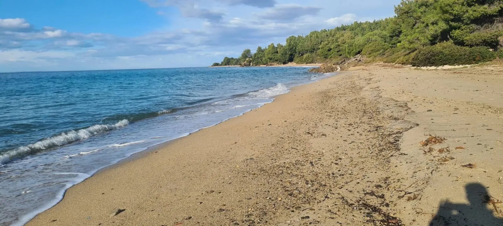 PLAC – TRIPOTAMOS · fotografija 4
