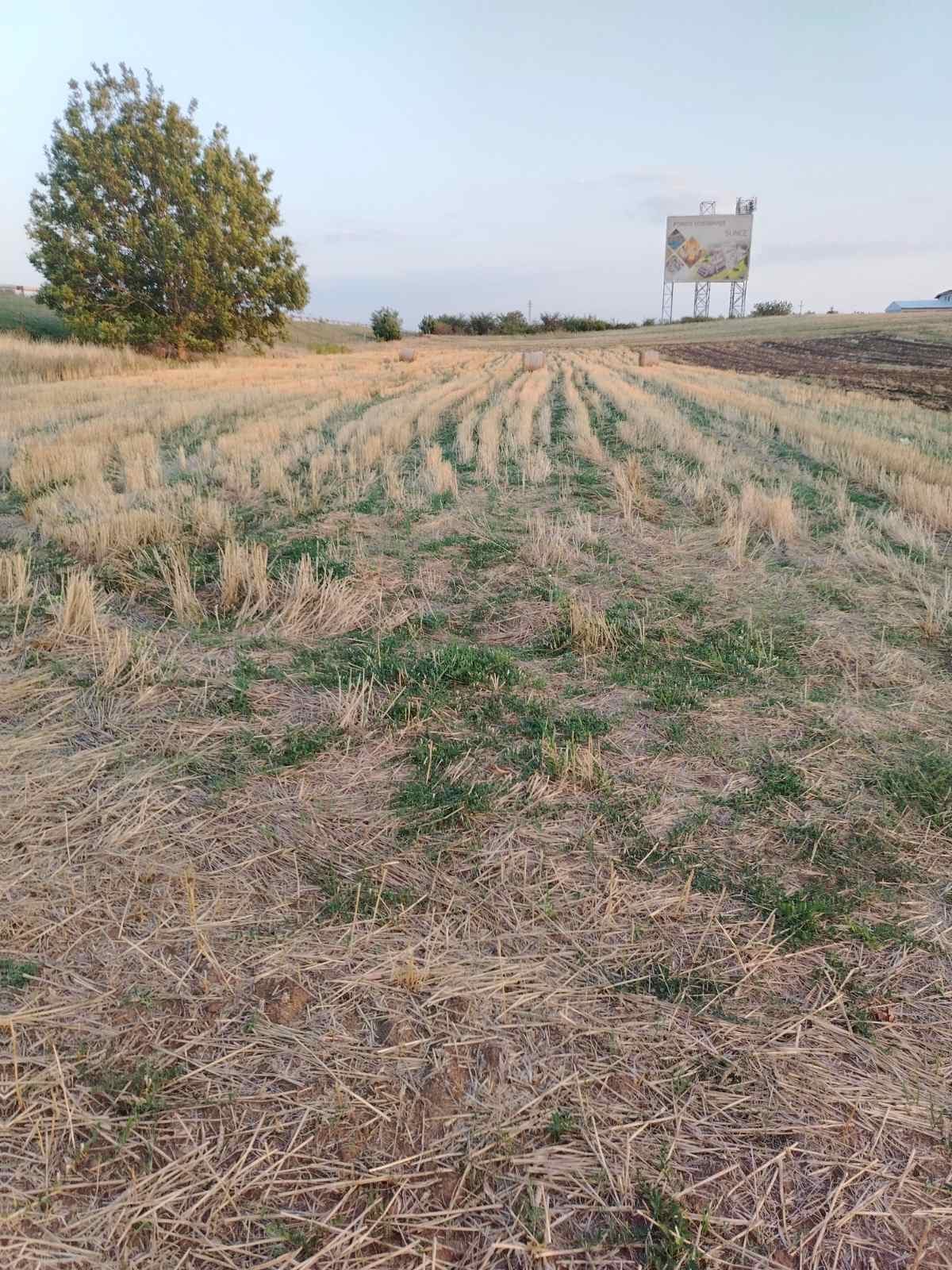 NJIVA PORED AUTOPUTA