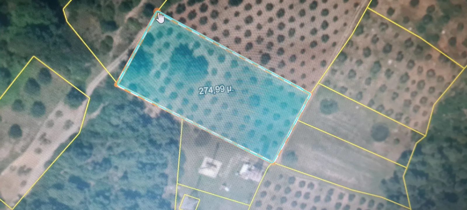 PLAC – NIKITI