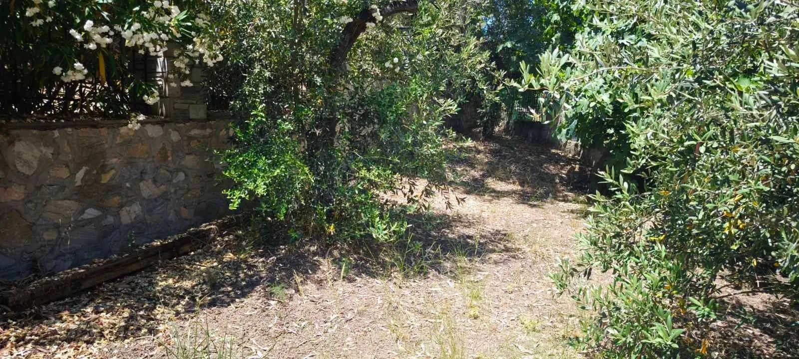 Villa – Fteroti – Chalkidiki · Foto 19