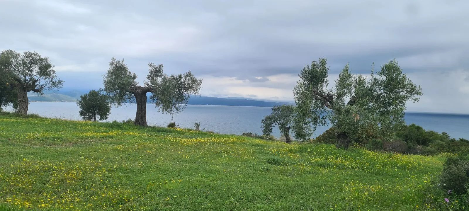 PLAC – AGIOS NIKOLAOS · fotografija 6