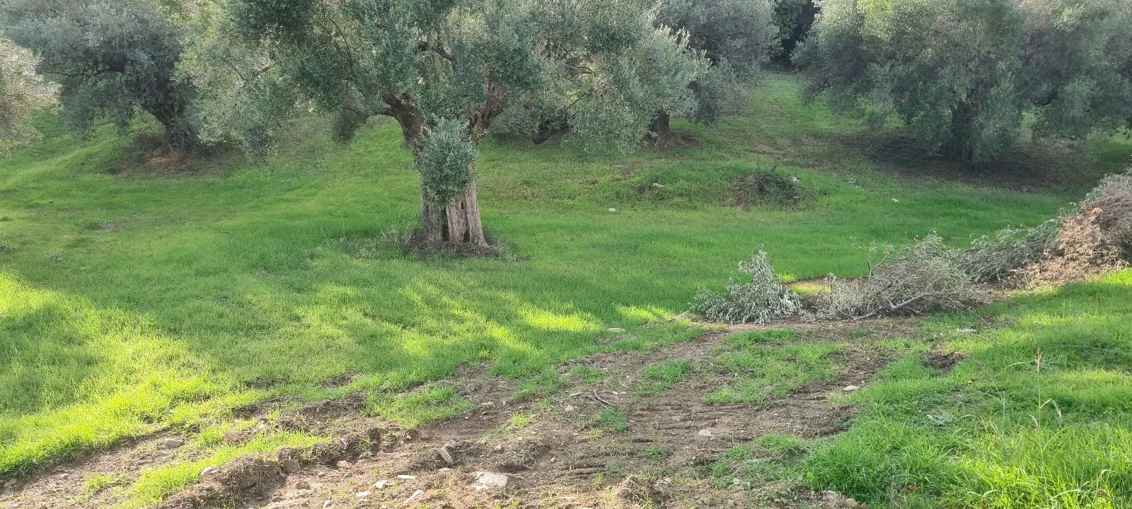 PLAC – SALONIKIOU · fotografija 6