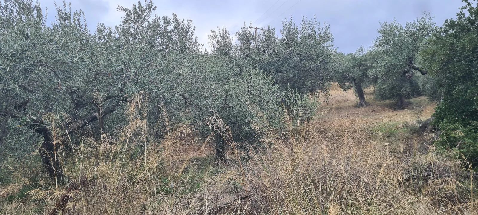 Grundstück – Pyrgadikia · Foto 7