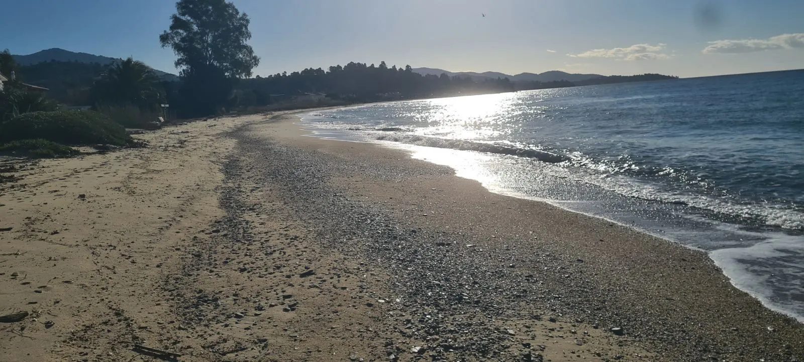 PLAC – TRIPOTAMOS · fotografija 5