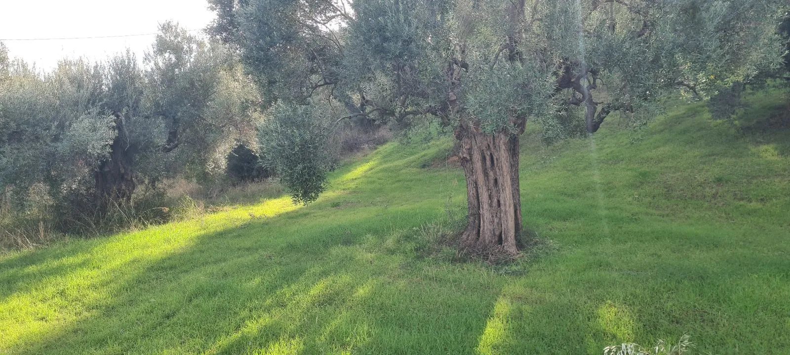 PLAC – SALONIKIOU · fotografija 12