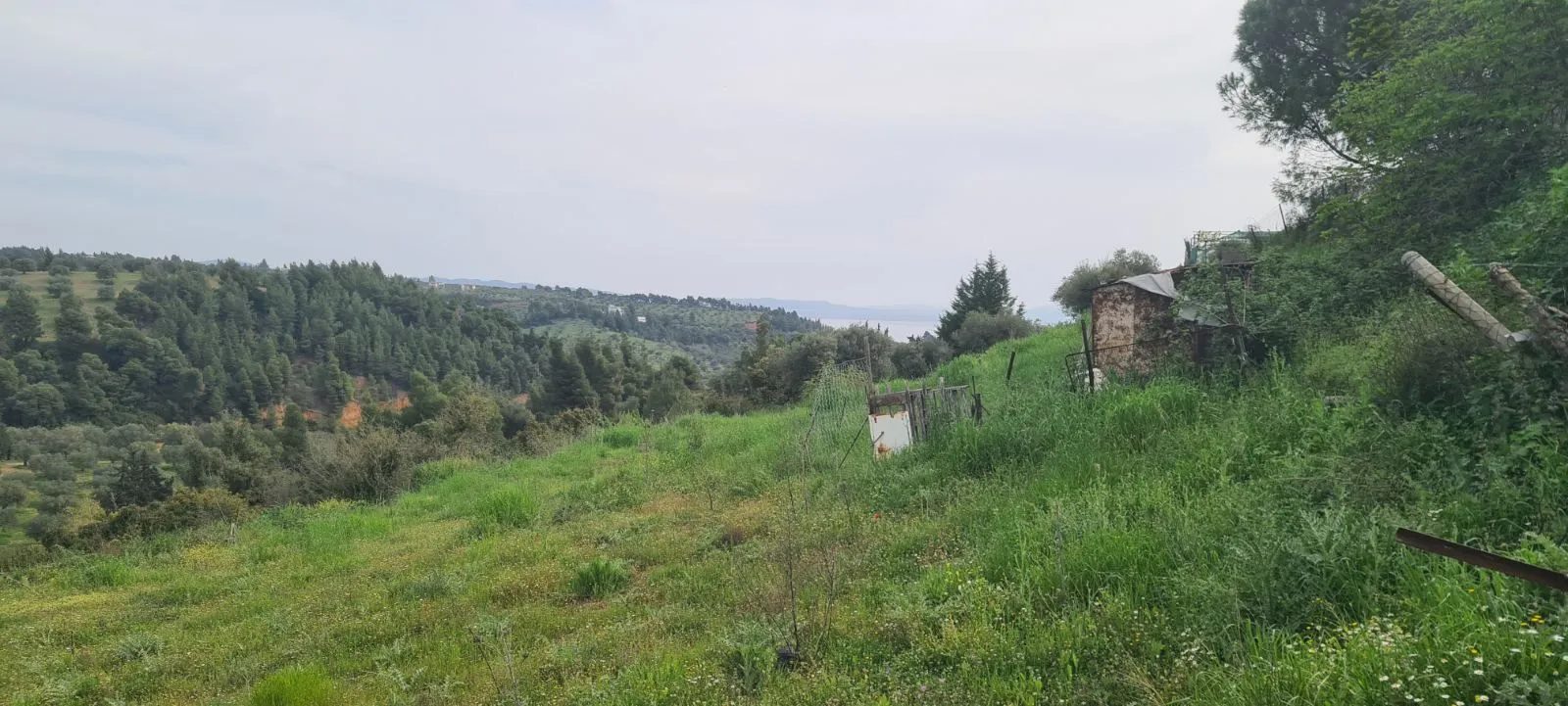 PLAC – AGIOS NIKOLAOS · fotografija 9
