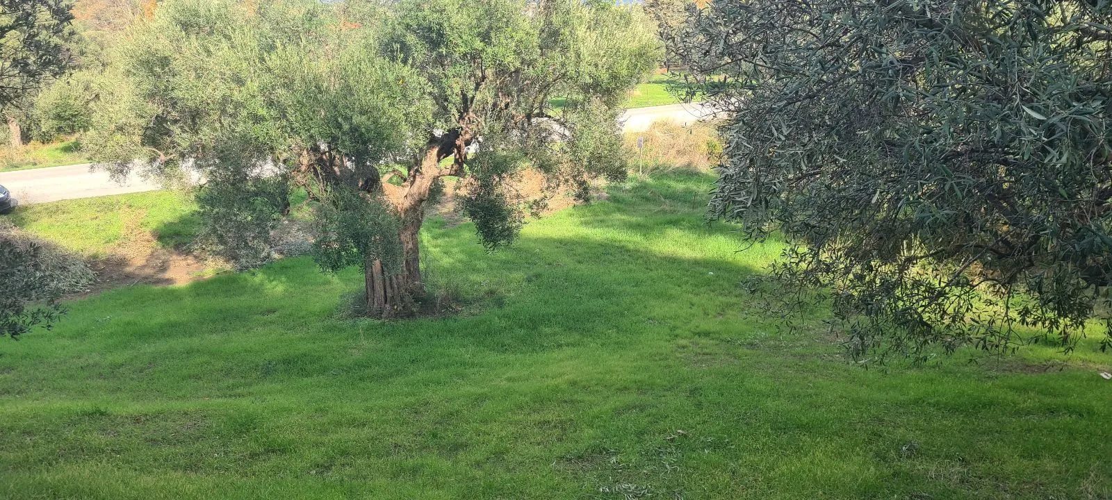 PLAC – SALONIKIOU · fotografija 14