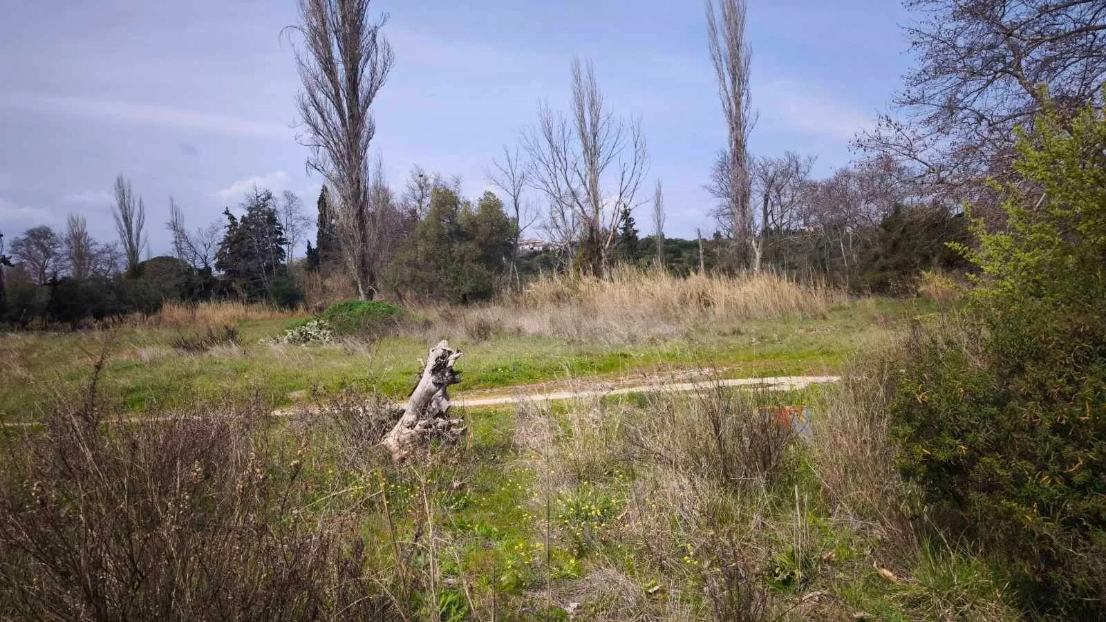 Grundstück – Paralia Nikiti · Foto 13