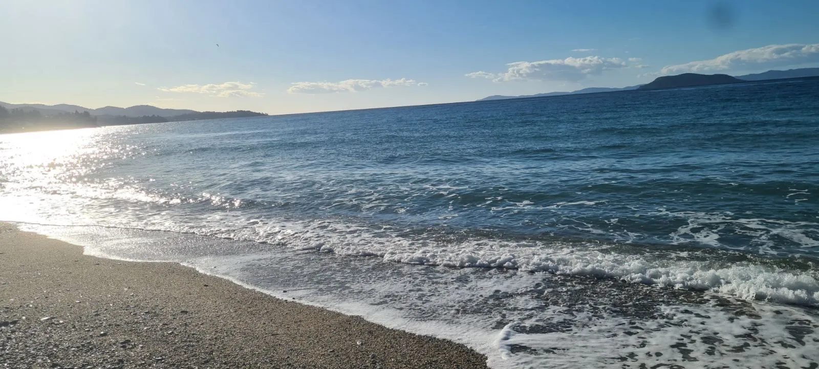 PLAC – TRIPOTAMOS · fotografija 6