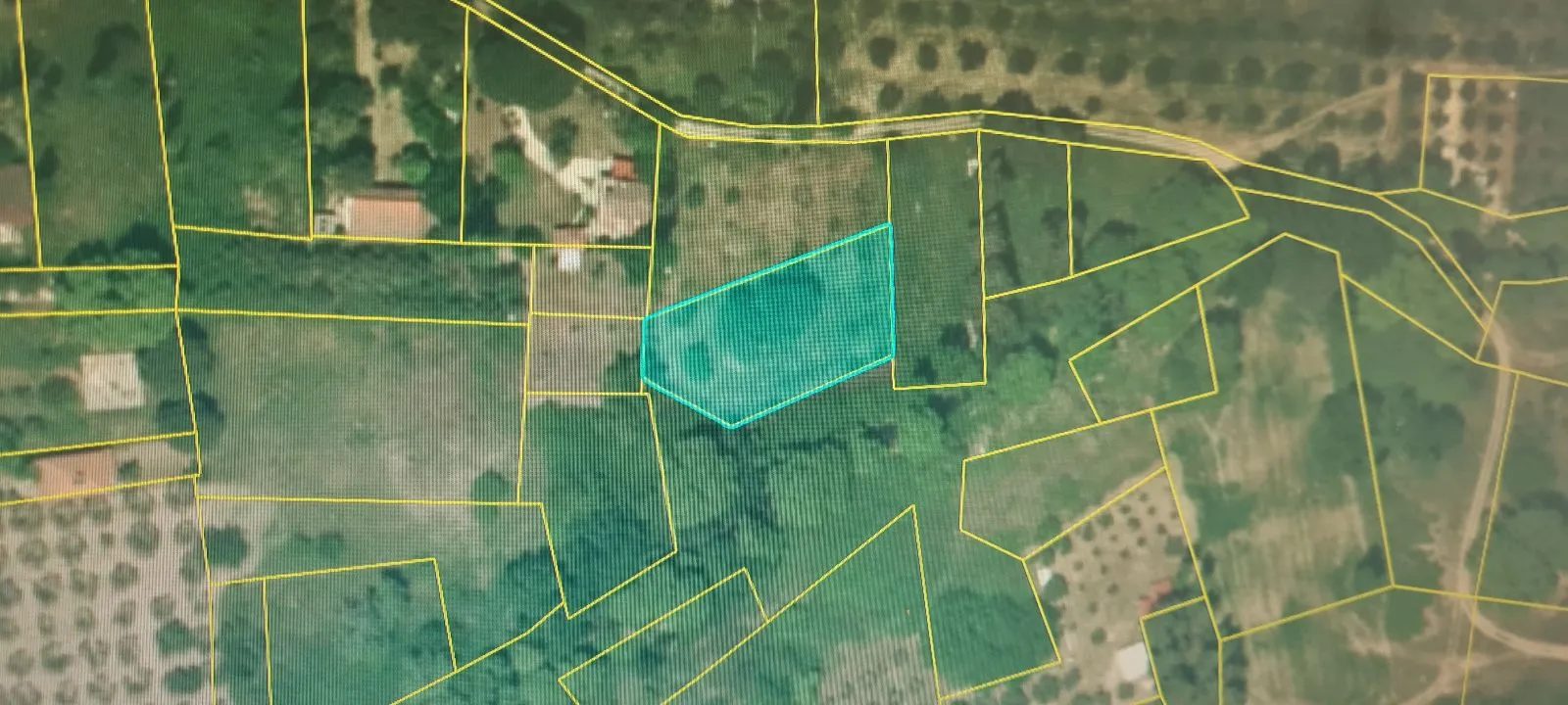 PLAC – PARALIA NIKITI