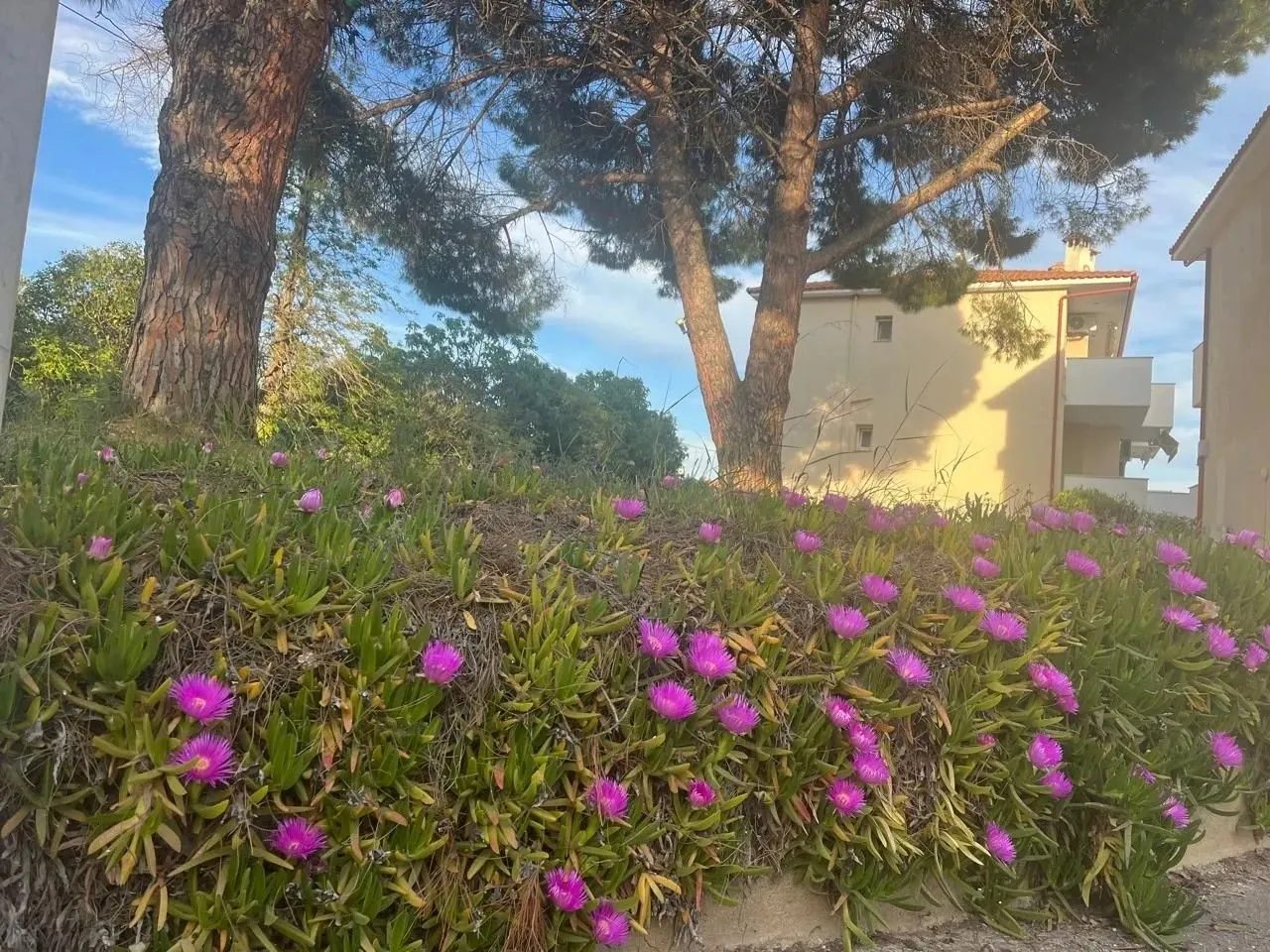 Wohnung – Paralia Nikiti · Foto 12