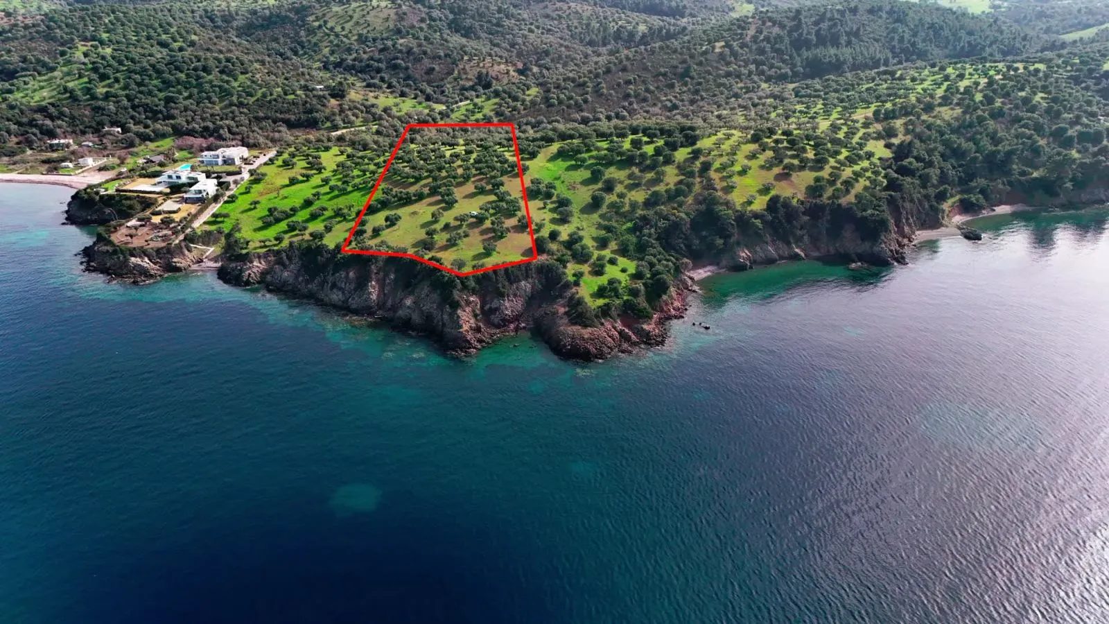 PLAC – PALIOURI