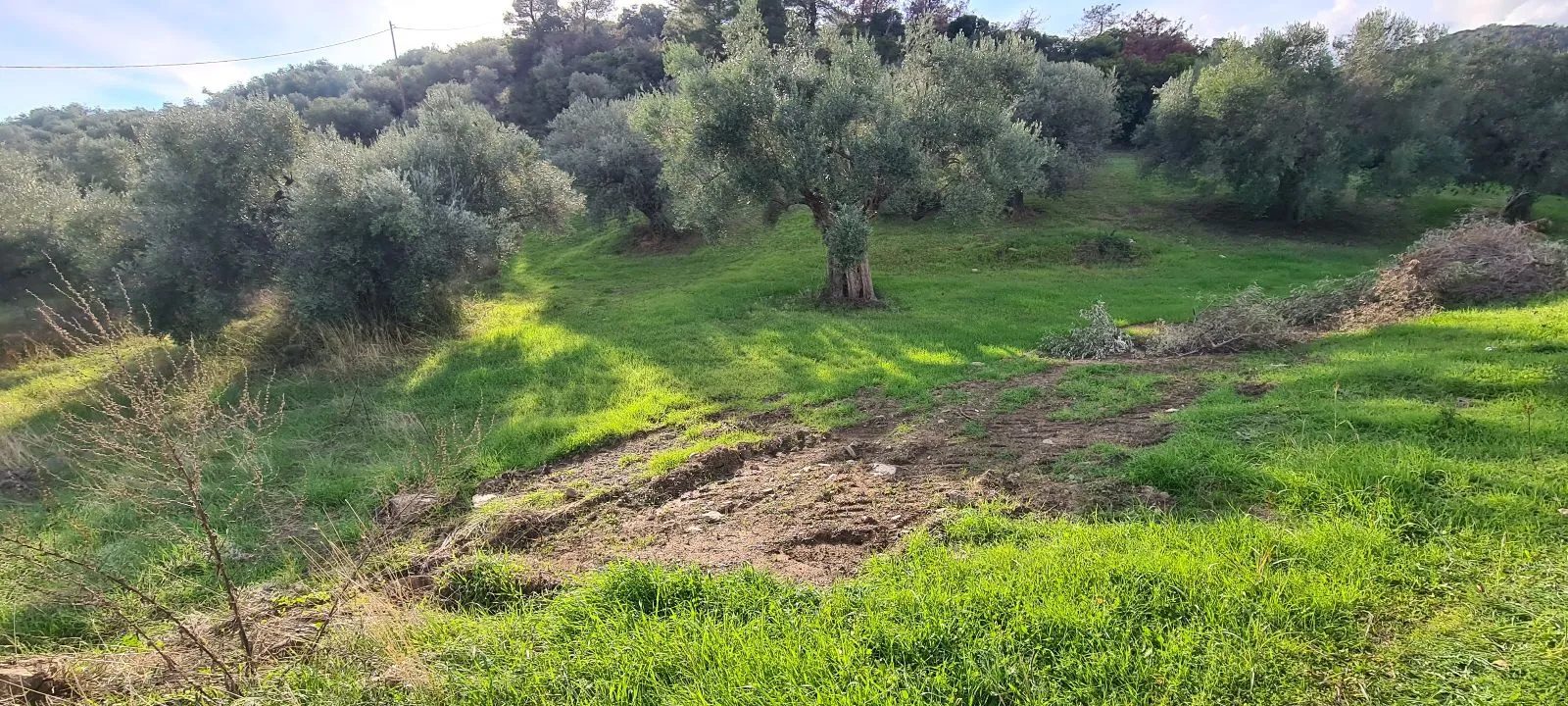 PLAC – SALONIKIOU · fotografija 8