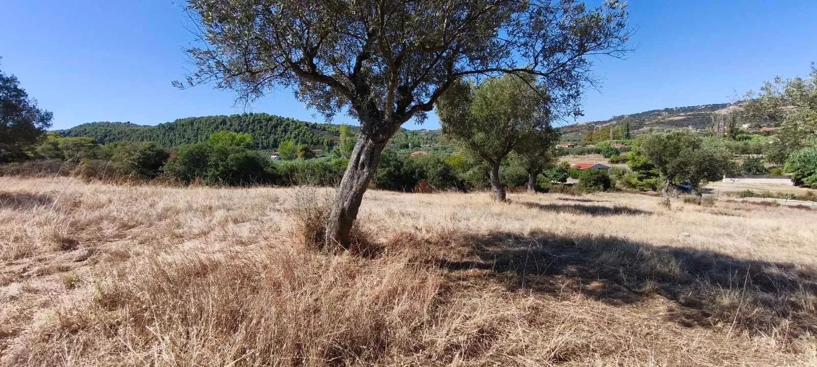 PLAC – ORMOS PANAGIAS · fotografija 15