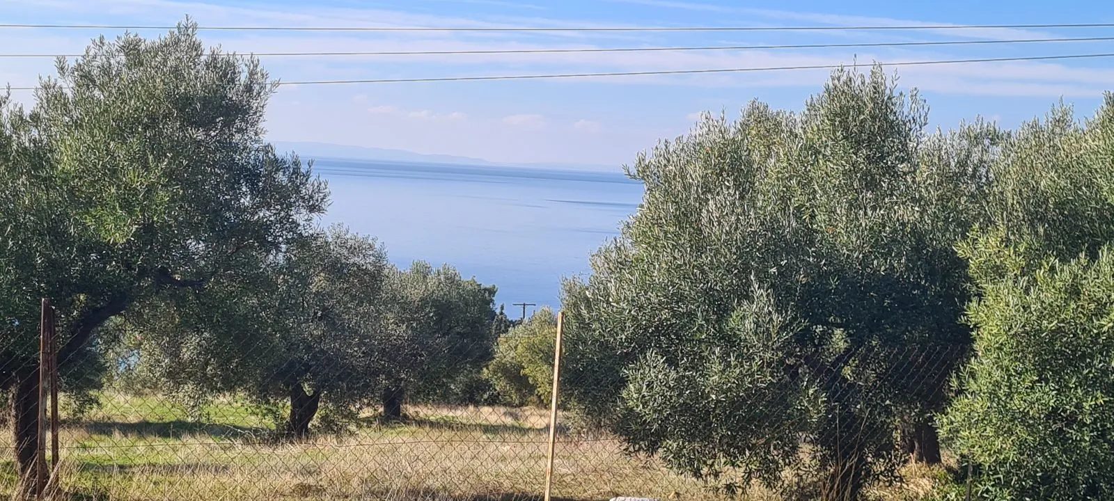 PLAC – PARADEISOS