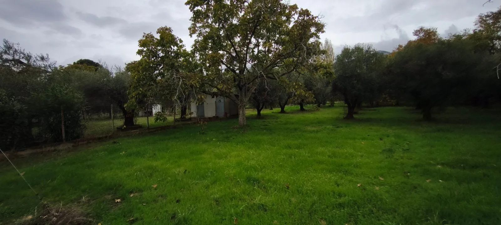 Plac – Neos Marmaras · fotografija 3