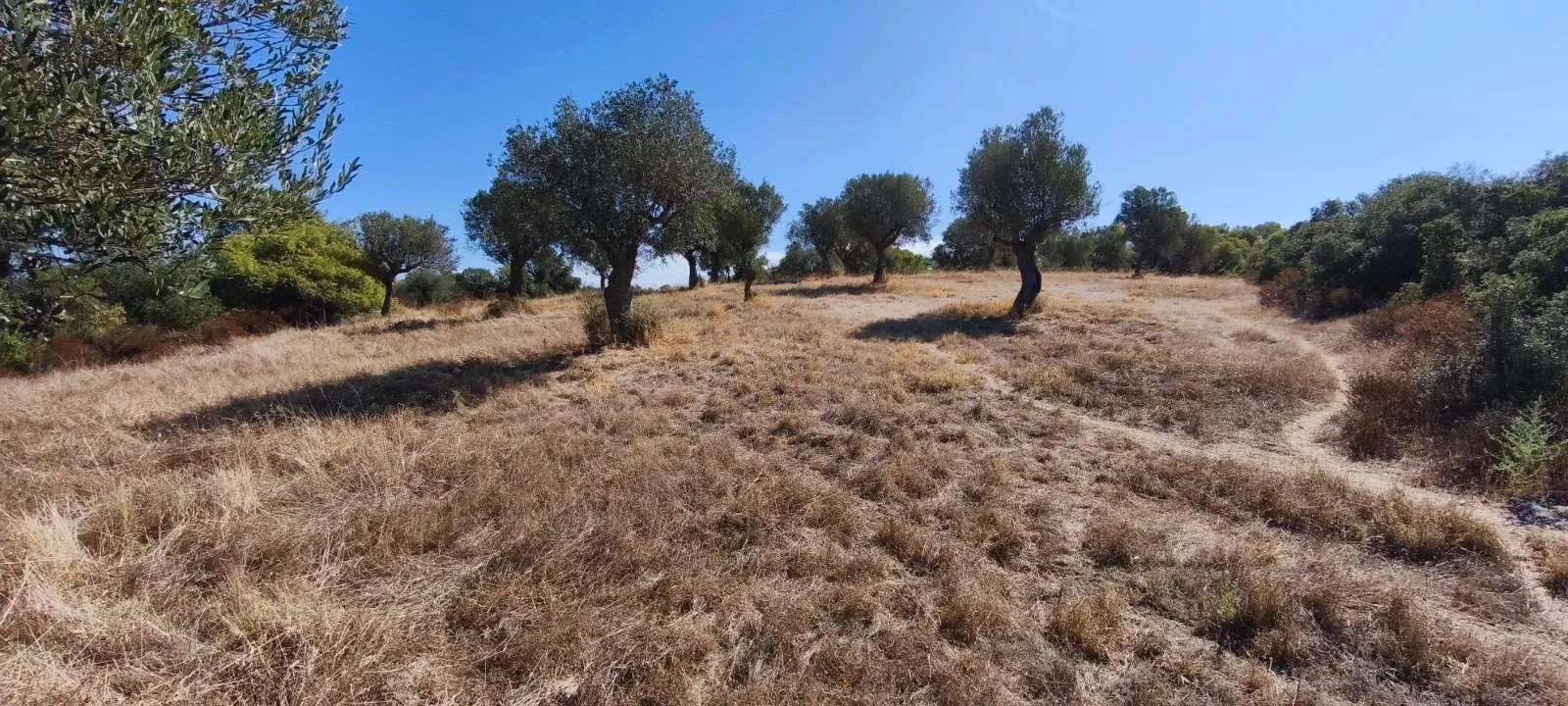PLAC – ORMOS PANAGIAS · fotografija 10