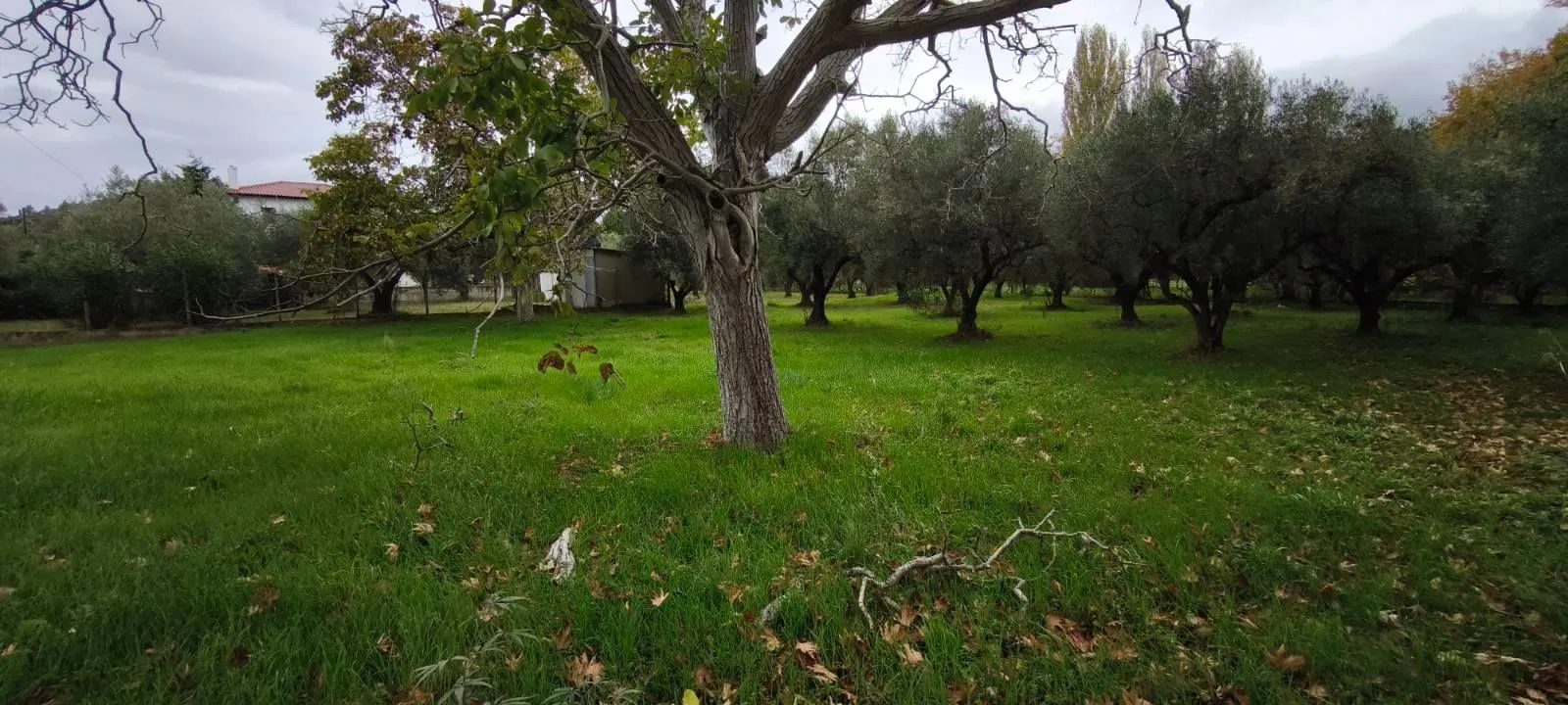 Plac – Neos Marmaras · fotografija 14