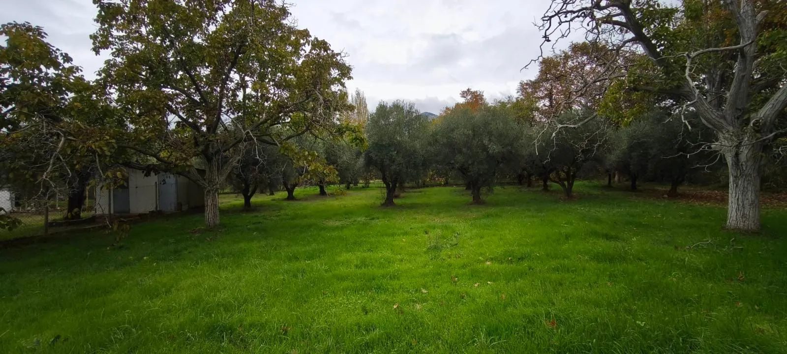 Plac – Neos Marmaras · fotografija 9