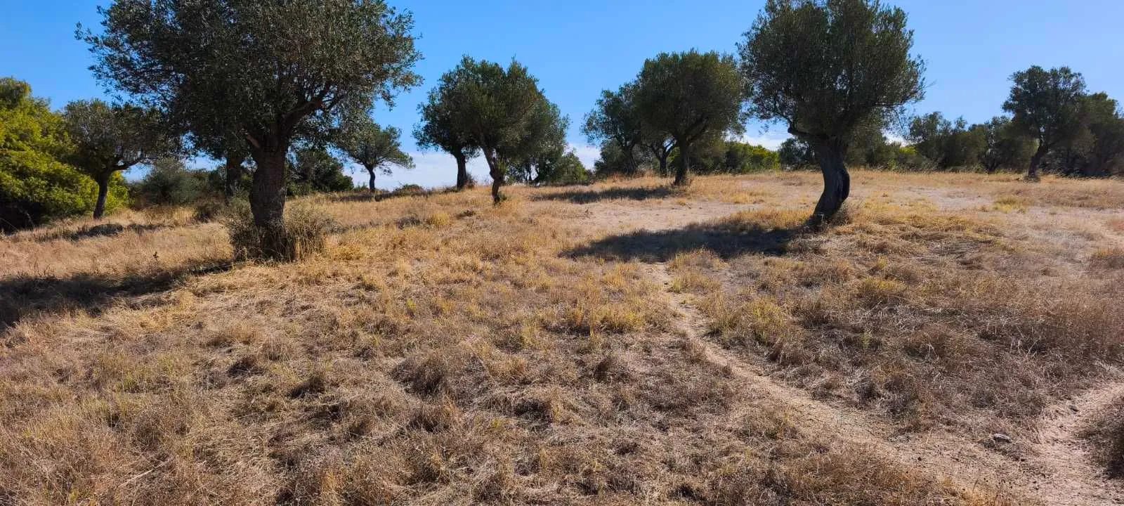 PLAC – ORMOS PANAGIAS · fotografija 17