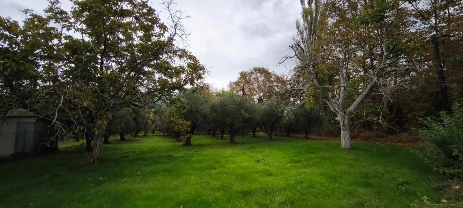 Plac – Neos Marmaras · fotografija 10