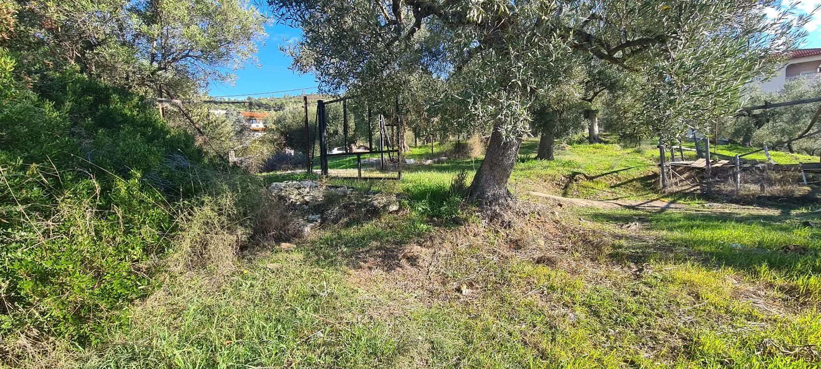 PLAC – PARADEISOS · fotografija 5