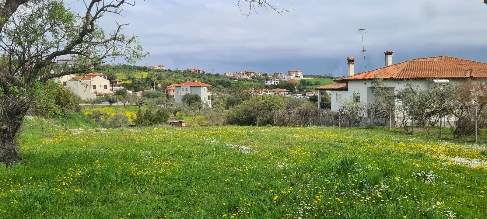 PLAC – AGIOS NIKOLAOS