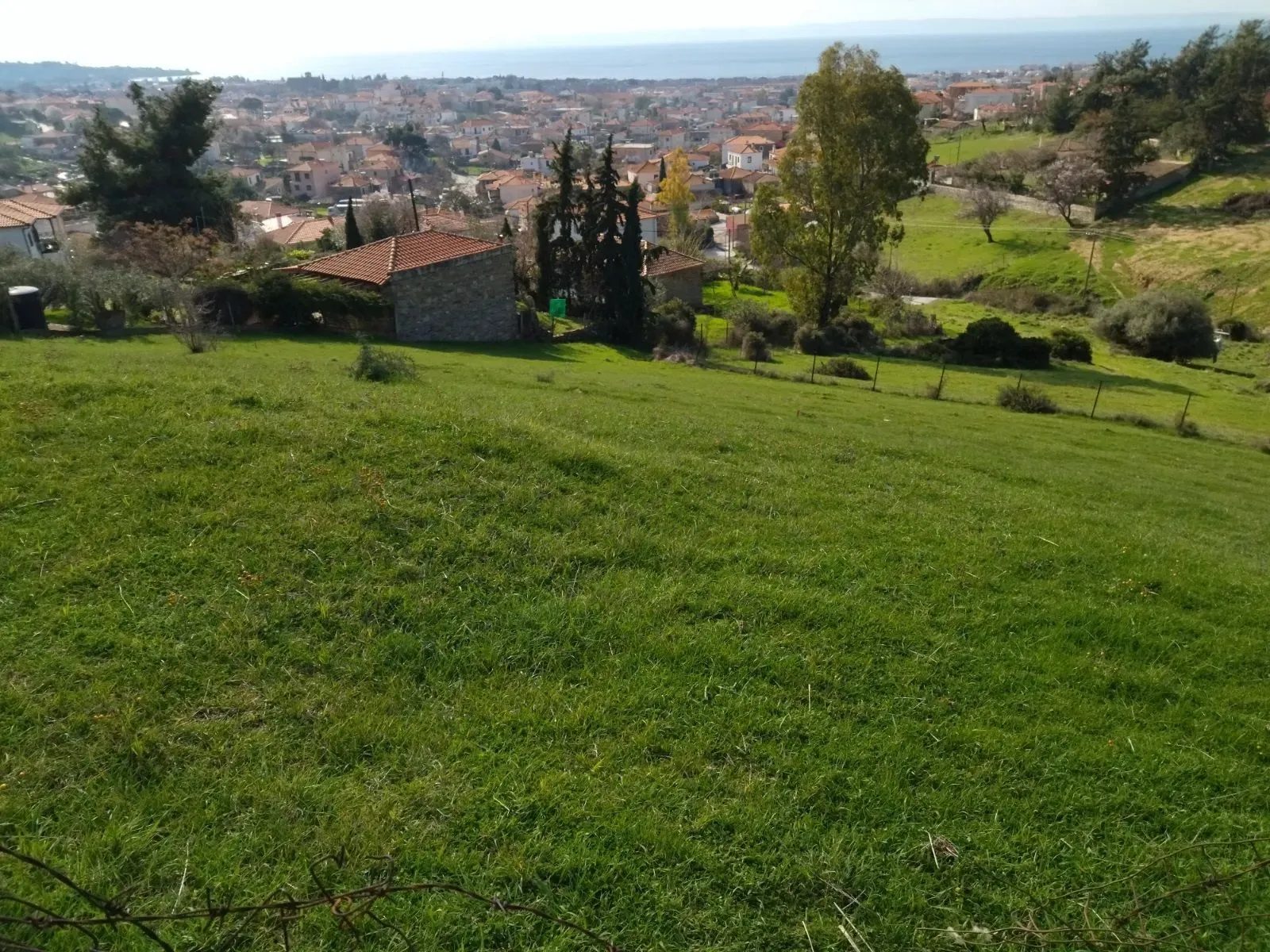 PLAC – NIKITI