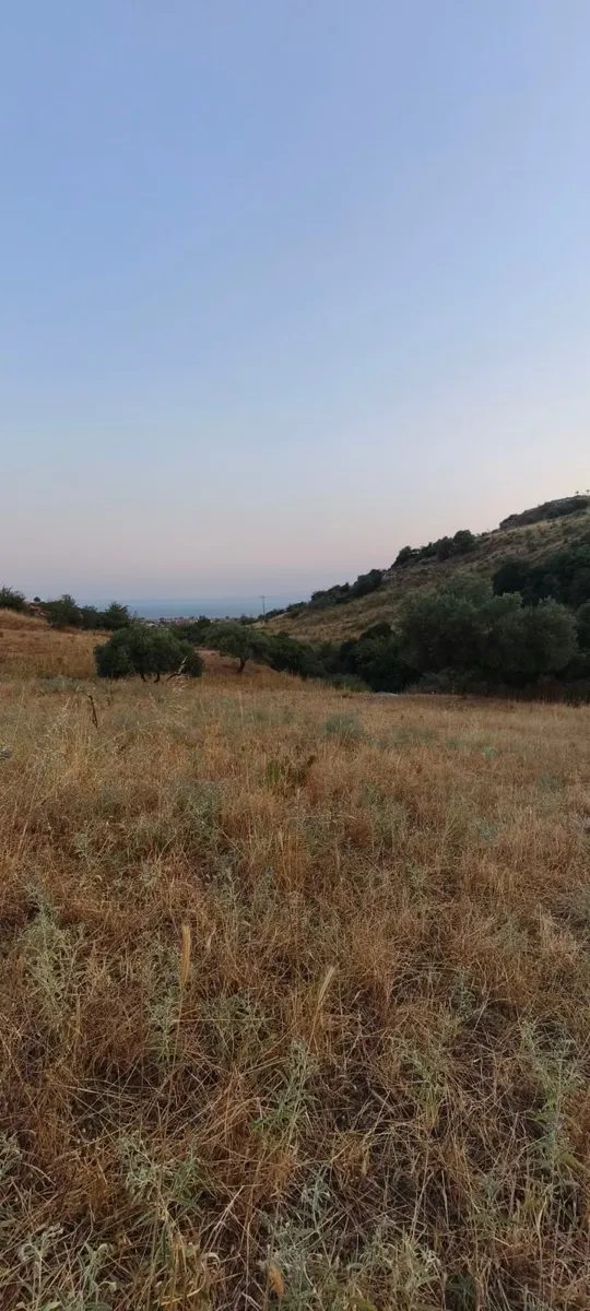 Grundstück – Nikiti · Foto 17