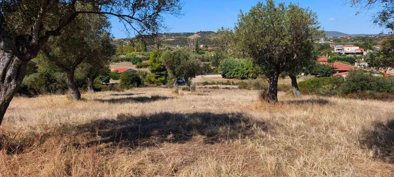 PLAC – ORMOS PANAGIAS