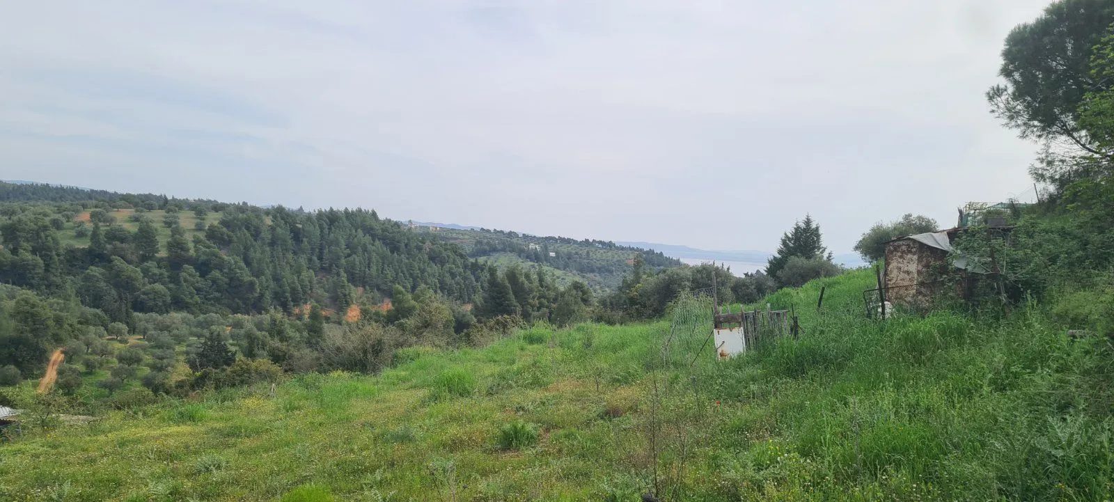 PLAC – AGIOS NIKOLAOS · fotografija 10