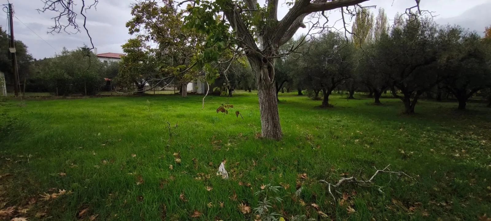 Plac – Neos Marmaras · fotografija 16